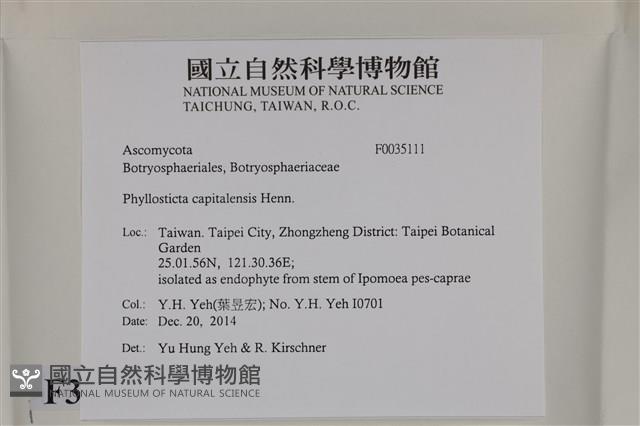 登錄號:F0035111藏品圖，第2張