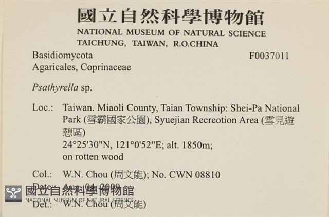 登錄號:F0037011藏品圖，第2張