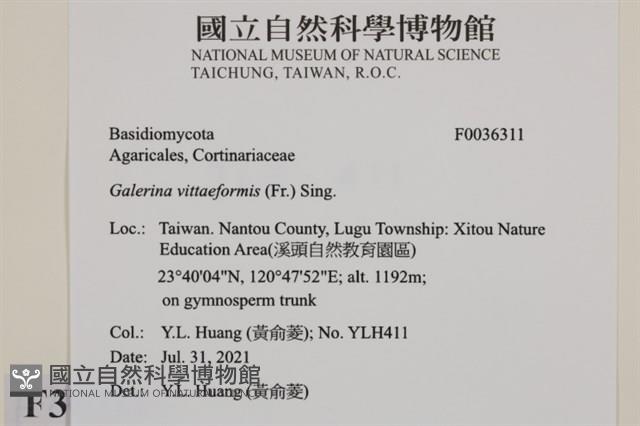 登錄號:F0036311藏品圖，第2張