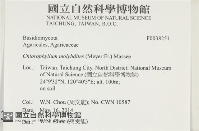 登錄號:F0038251藏品圖，第2張