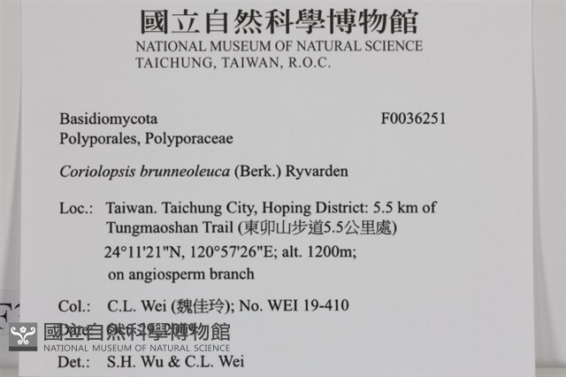 登錄號:F0036251藏品圖，第2張