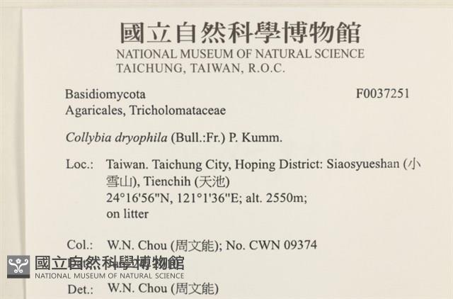 登錄號:F0037251藏品圖，第2張