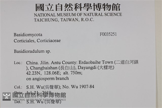登錄號:F0035251藏品圖，第2張