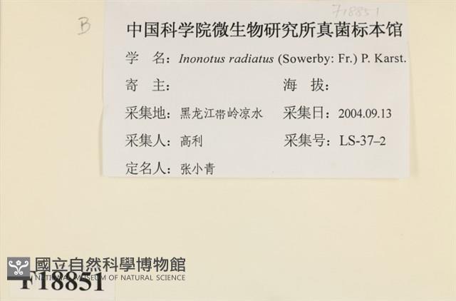 登錄號:F0018851藏品圖，第2張