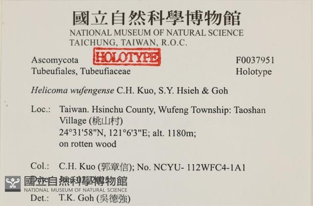 登錄號:F0037951藏品圖，第2張