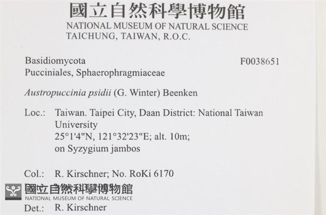 登錄號:F0038651藏品圖，第2張