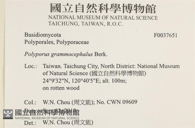 登錄號:F0037651藏品圖，第2張