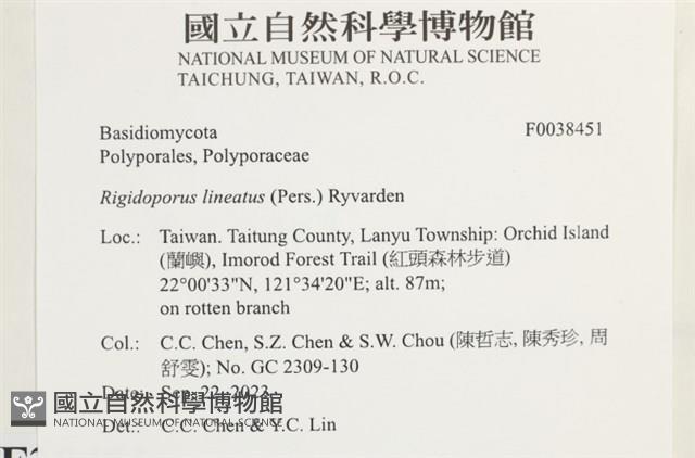 登錄號:F0038451藏品圖，第2張