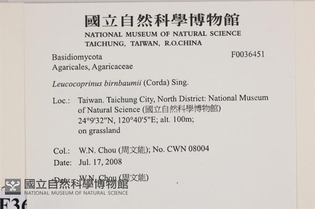 登錄號:F0036451藏品圖，第2張