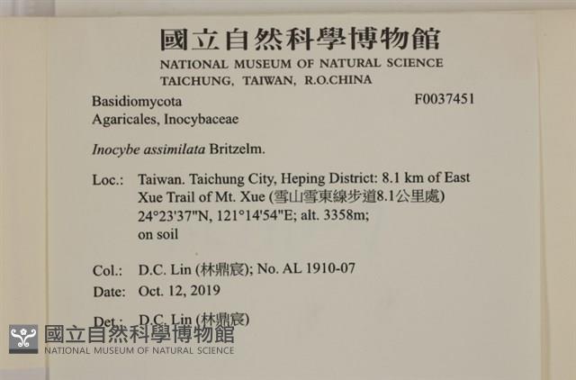 登錄號:F0037451藏品圖，第2張