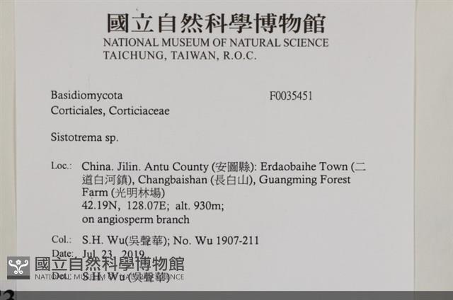 登錄號:F0035451藏品圖，第2張