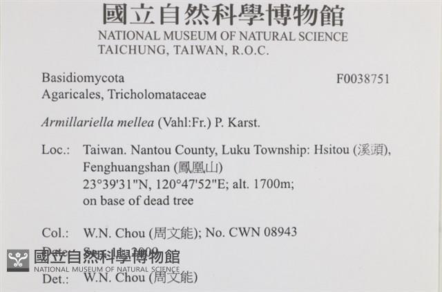 登錄號:F0038751藏品圖，第2張