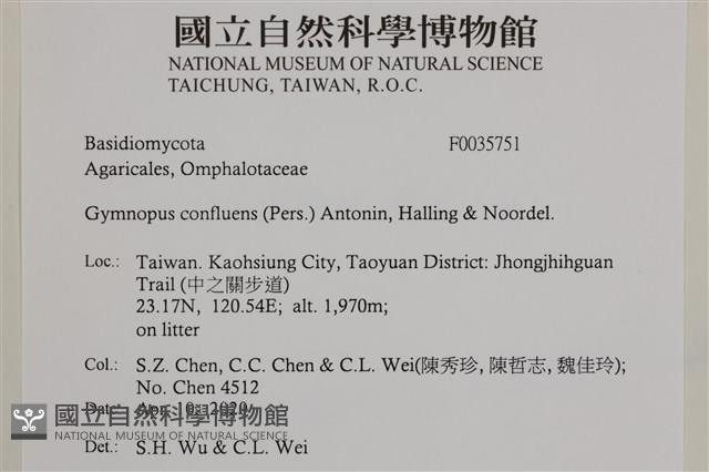 登錄號:F0035751藏品圖，第1張