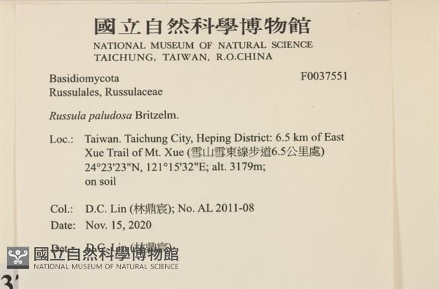 登錄號:F0037551藏品圖，第2張