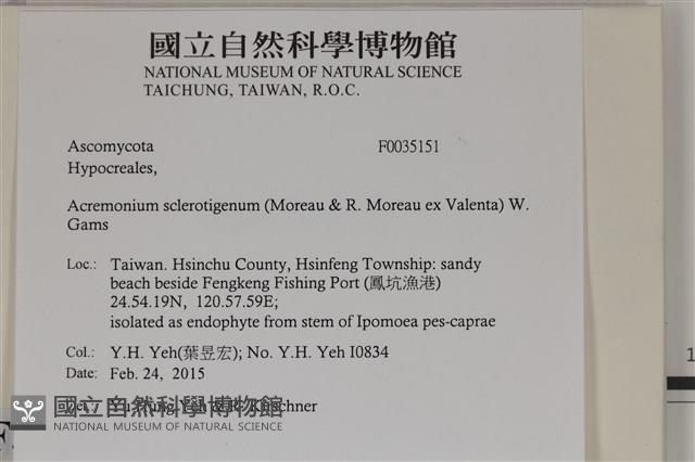 登錄號:F0035151藏品圖，第2張