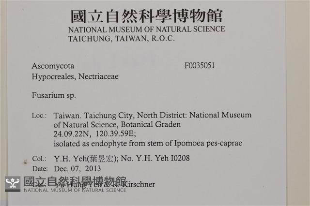 登錄號:F0035051藏品圖，第2張