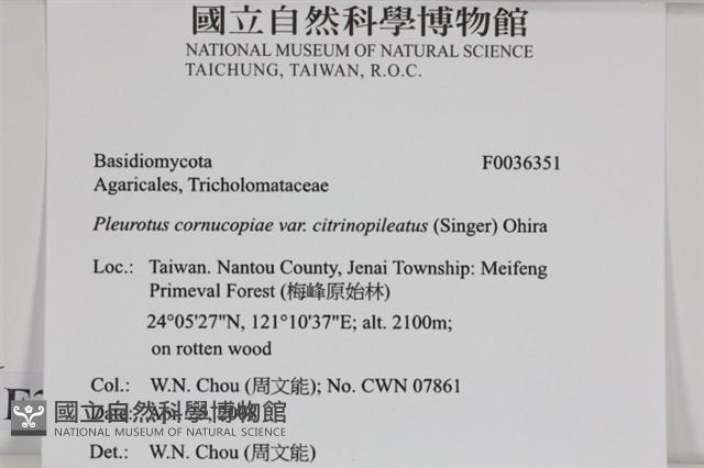 登錄號:F0036351藏品圖，第2張