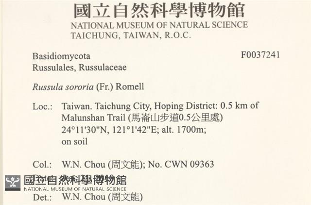 登錄號:F0037241藏品圖，第2張