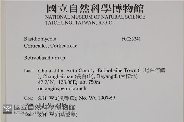 登錄號:F0035241藏品圖，第2張