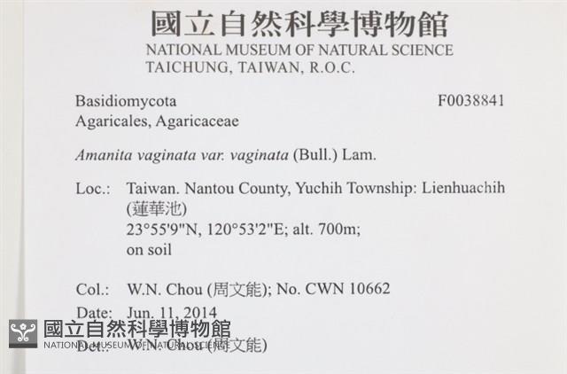 登錄號:F0038841藏品圖，第2張