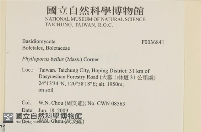 登錄號:F0036841藏品圖，第2張