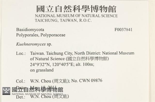 登錄號:F0037841藏品圖，第2張