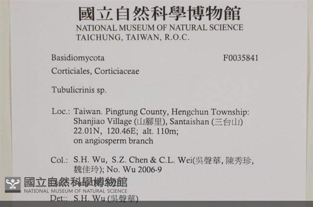 Accession Number:F0035841 Collection Image, Figure 2, Total 2 Figures