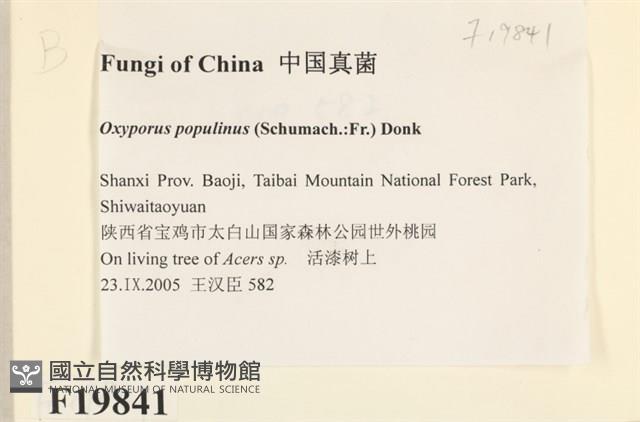 登錄號:F0019841藏品圖，第2張