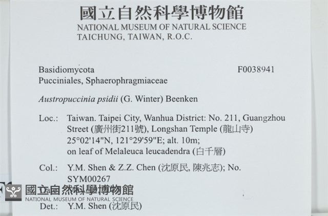 登錄號:F0038941藏品圖，第2張