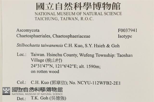 登錄號:F0037941藏品圖，第2張