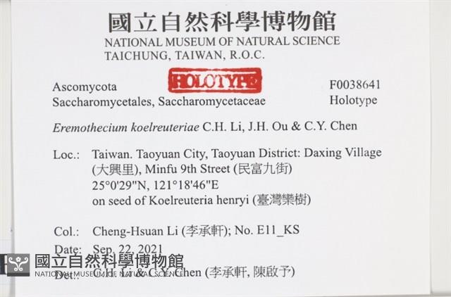 登錄號:F0038641藏品圖，第2張