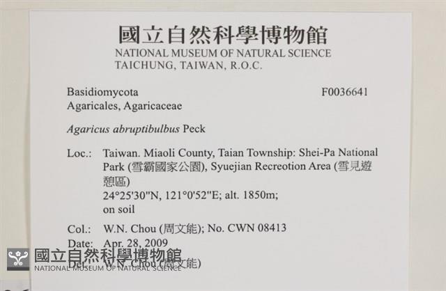 登錄號:F0036641藏品圖，第2張
