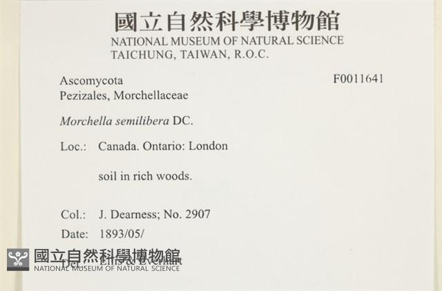 登錄號:F0011641藏品圖，第5張