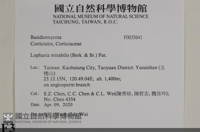 登錄號:F0035641藏品圖，第2張