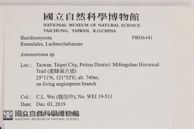 登錄號:F0036441藏品圖，第2張