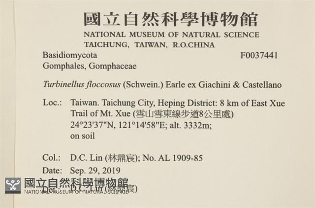 登錄號:F0037441藏品圖，第2張