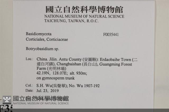 登錄號:F0035441藏品圖，第2張
