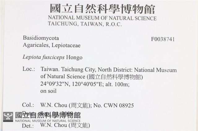 登錄號:F0038741藏品圖，第2張