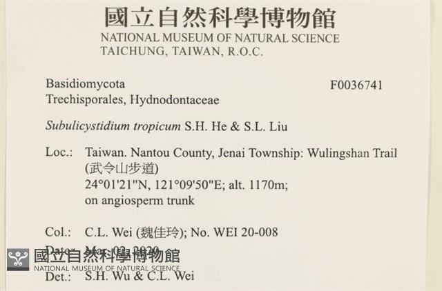 登錄號:F0036741藏品圖，第2張
