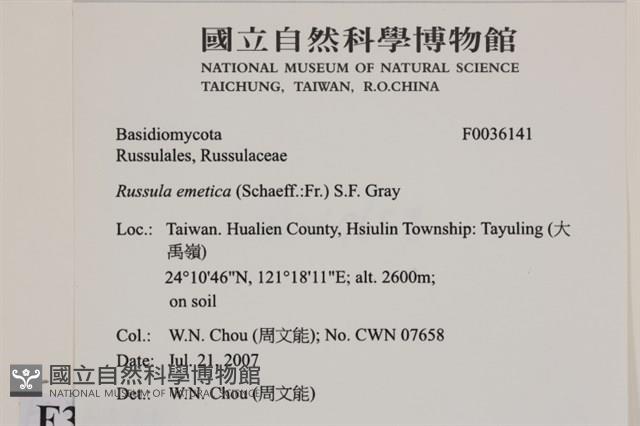登錄號:F0036141藏品圖，第2張