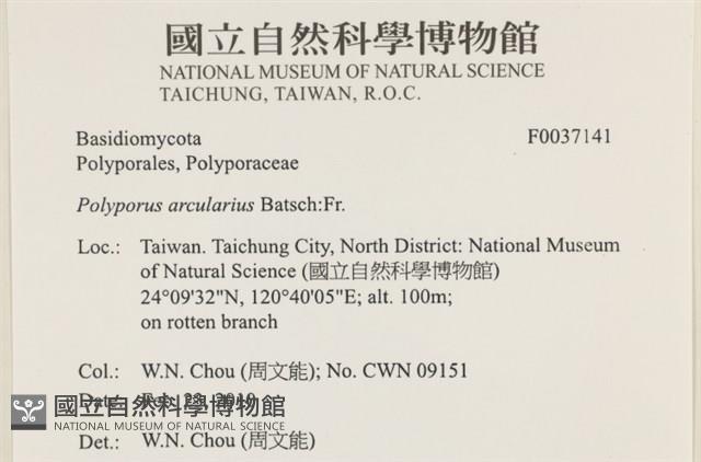 登錄號:F0037141藏品圖，第2張