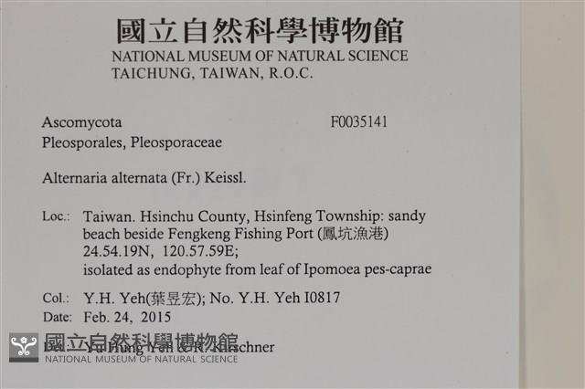 登錄號:F0035141藏品圖，第2張