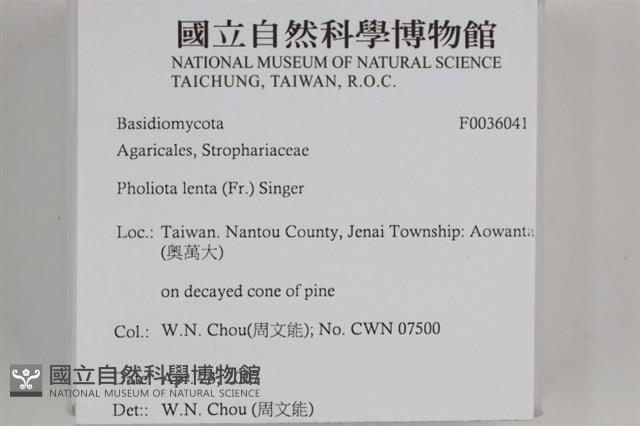 登錄號:F0036041藏品圖，第2張