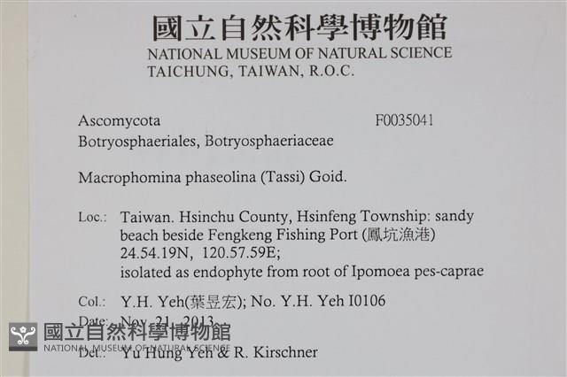 登錄號:F0035041藏品圖，第2張