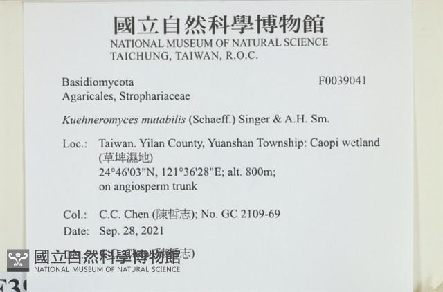 登錄號:F0039041藏品圖，第1張