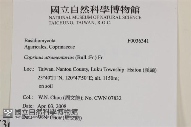 登錄號:F0036341藏品圖，第2張