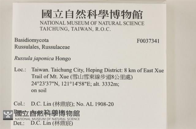 登錄號:F0037341藏品圖，第2張