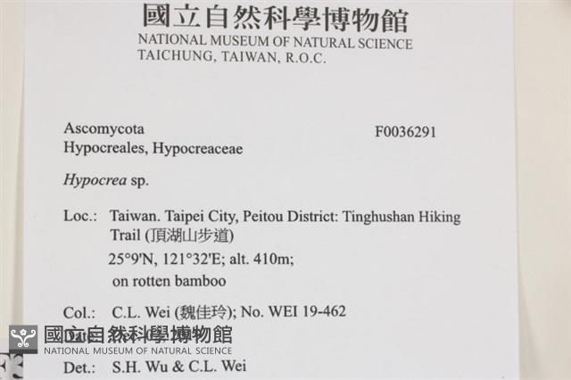 登錄號:F0036291藏品圖，第2張