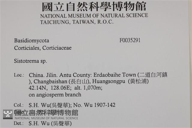 登錄號:F0035291藏品圖，第2張