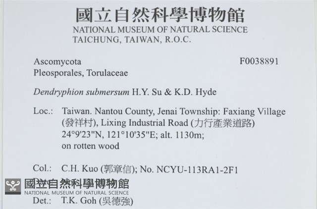 登錄號:F0038891藏品圖，第2張